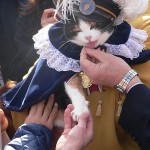 La gatita Tama en un acto celebrado en su honor | Foto: www.wikipedia.com