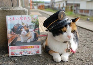 La gata Tama luce su gorrito de jefa de estación | Foto: http://www.japonpop.com