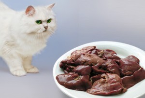 Hay alimentos que, en exceso, puede ser malos para los gatos. Este es el caso del hígado | Foto: pets.webmd.com