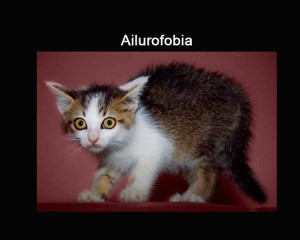 La fobia a los gatos se denomina ailurofobia | Foto: mikiyoshiuzuki.deviantart.com