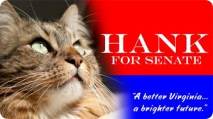 El gato Hank se presenta a la candidatura del Senado de los EEUU