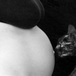Existe una mentira muy nociva para los gatos que dice que embarazadas y gatos no pueden convivir, es totalmente falso | Foto: vaniafneves.deviantart.com