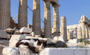 En Grecia se usaba un mismo término para nombrar a varios animales de larga cola | Foto: flickr.com/photos/helenicos