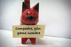 El origen de la palabra gato | Foto: notigatos.com