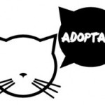 Nuevo logotipo de la página de adoptar gatos de Cosas de Gatos