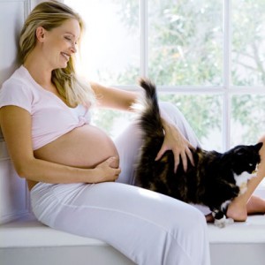 Disfruta del embarazo con tu gato