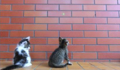 Puntero Láser Rojo Para Que Los Gatos Jueguen Puntero Láser