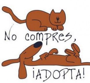 No compres, adopta