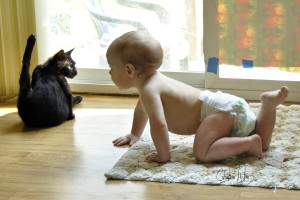 Los primeros acercamientos entre bebé y gato deben ser supervisados por un adulto | Foto: cheslah.deviantart.com