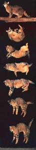 El cuerpo del gato permite que tenga una gran agilidad de giro