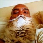 El origen del meme de fotos de gato barba fue este