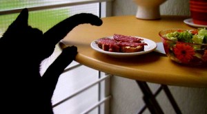 El alimento esencial de la dieta felina debe ser la carne | Foto: downinparis.deviantart.com