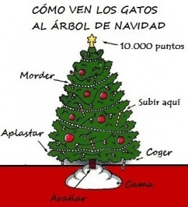 Cómo ven los gatos el árbol de Navidad