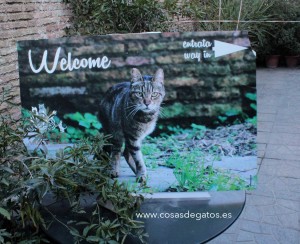 Entrada al Santuario de los Gatos