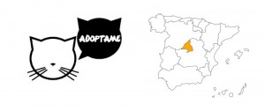 Adoptar gatos en Madrid (España)