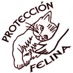 Protección Felina Madrid