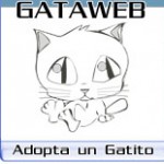 Gataweb Madrid