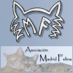 Asociación Madrid Felina