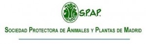 SPAP Madrid