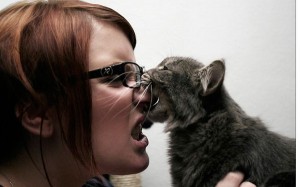 Los mordiscos de amor son muestras de cariño del gato | Foto: sic-purity.deviantart.com