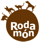 Adoptar gatos en Palafrugell: Rodamón