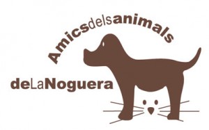 Adoptar gatos La Noguera