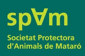 Adoptar gatos en Mataró SPAM