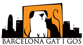 Adoptar gatos en Barcelona: Barcleona gat i gos