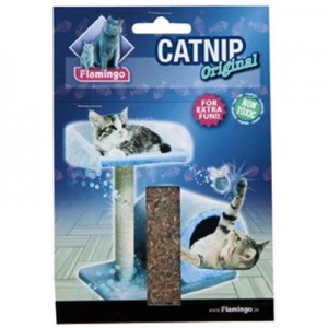 El catnip puede ayudar a atraer al gato hacia el rascador | Foto:animalear.com