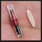 El microchip que se le implanta es pequeño e indoloro, y suele costar entre 35 -50 euros 