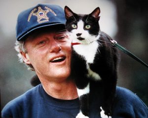Socks fue el gato de los Clinton que vivió en la Casa Blanca