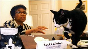 Socks fue adoptado por la ex secretaria de Clinton y vivió con ella hasta su muerte, un 20 de febrero