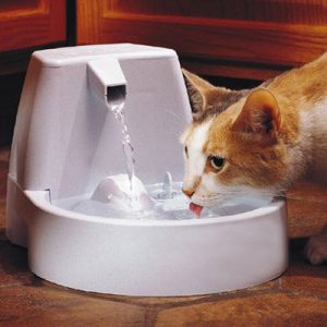 Fuente de agua en movimiento para gatos