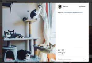 Ganadora del sorteo de Cosas de Gatos en Instagram del cómic de Adelaida&Coco