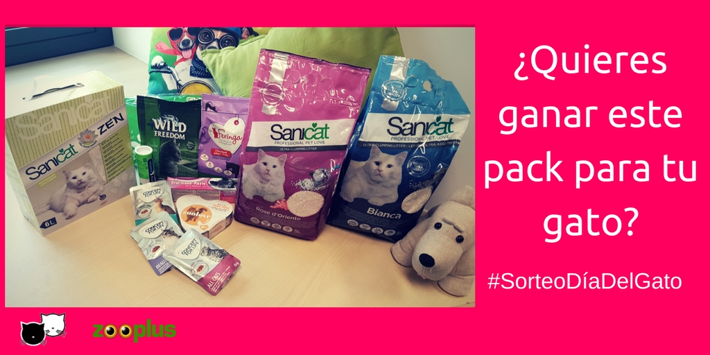 Sorteo Día del Gato Pack para gatos zooplus