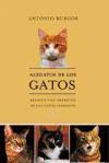 libro alegatos gatos
