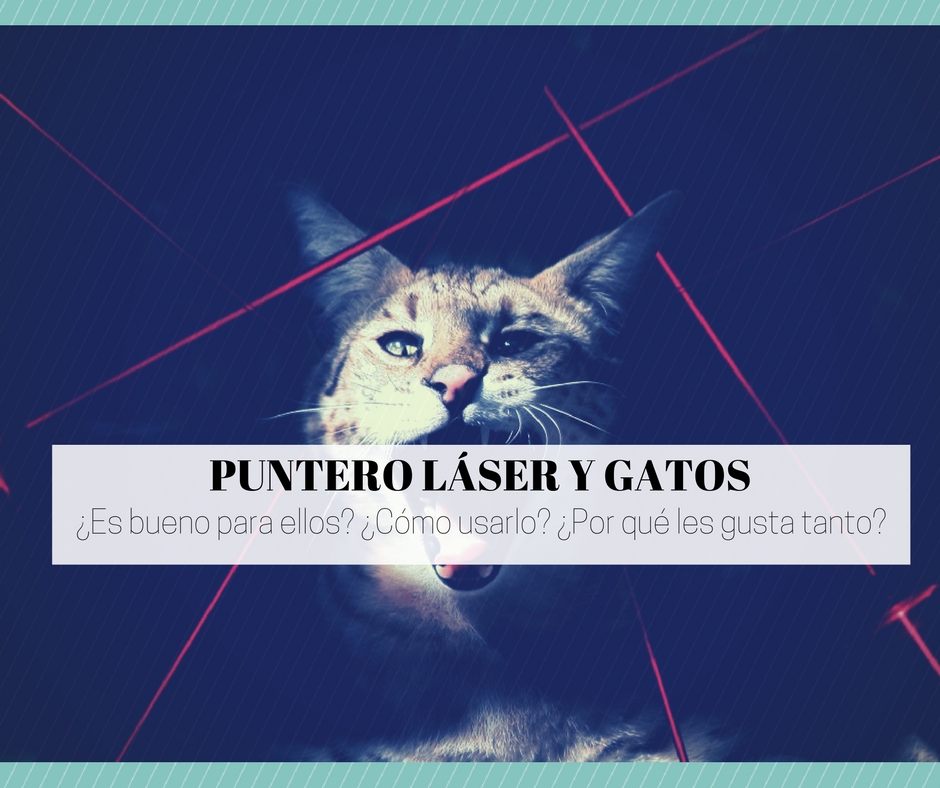 Juguete Láser Para Gatos, Puntero Láser Para Gatos De Inte