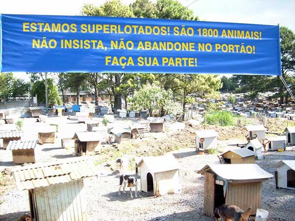 Más de 1.800 perros y gatos viven en las casetas de la Favela de los Cachorros en Caxias do Sul | Foto: Asociación SOAMA