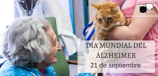 dia mundial alzheimer