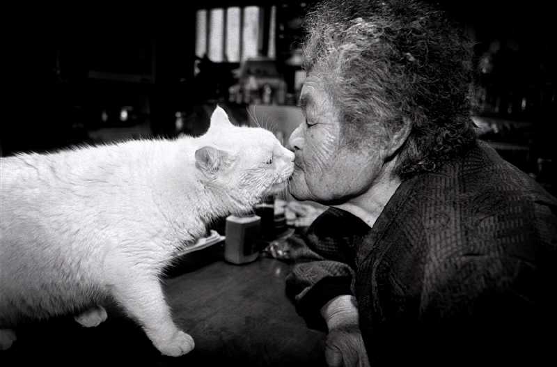 El gato y la anciana se quieren mucho | Copyright © Miyoko Ihara