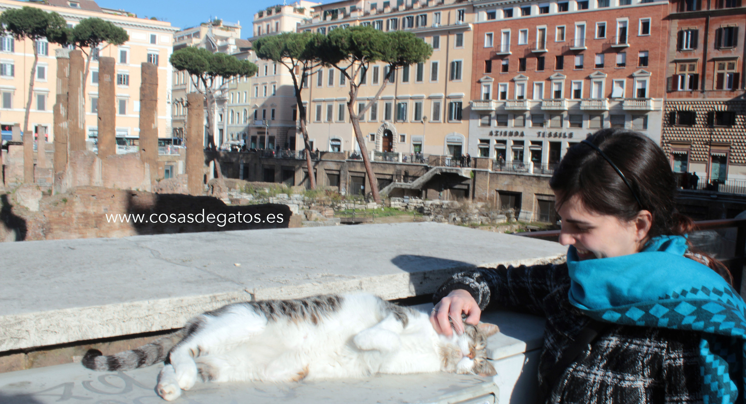 Un gato se acerca desde las ruinas