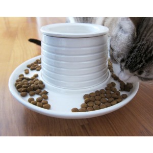 Varios gatos pueden comer a la vez en él