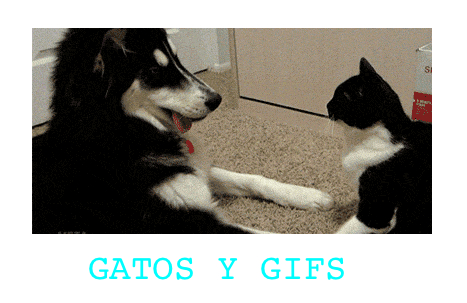 Cuéntaselo con GIFS