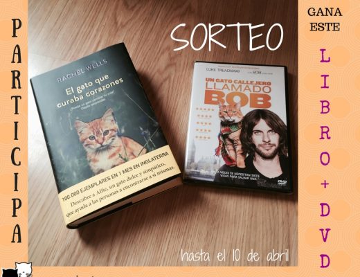 sorteo libro gato curaba corazones pelicula un gato callejero llamado bob