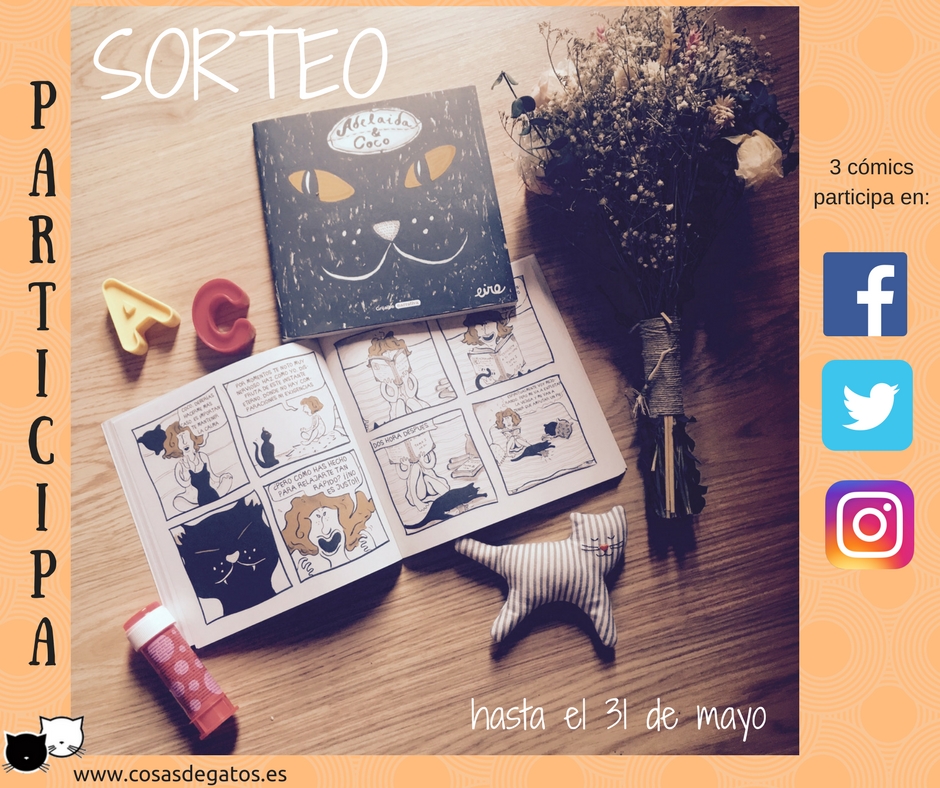 SORTEO GATOS adelaida & coco