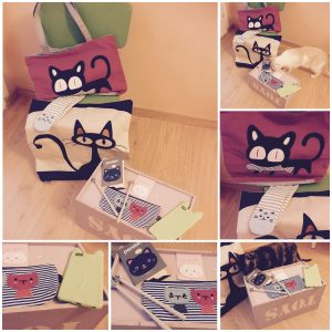 Sorteo Cosas de Gatos: cositas muy monas para catlovers