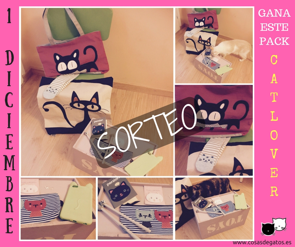 Sorteo 6o aniversario cosas de gatos