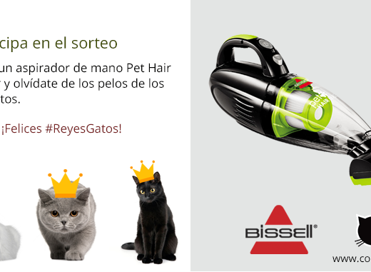 Sorteo Aspirador Bissell de mano Cosas de Gatos