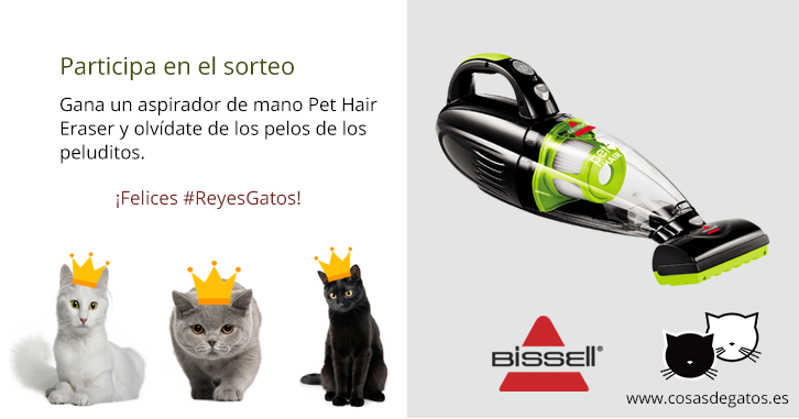 Sorteo Aspirador Bissell de mano Cosas de Gatos