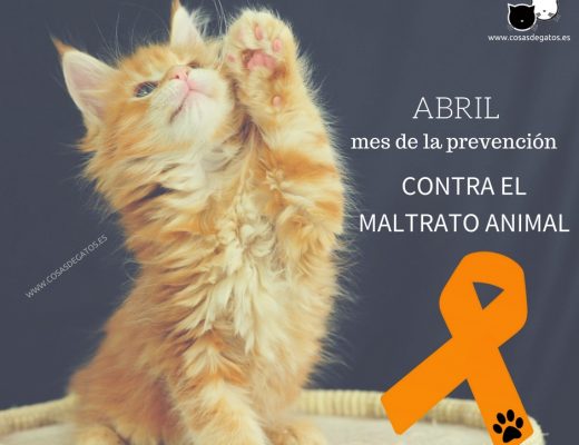 Cartel contra el maltrato animal abril